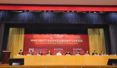 1481823961699481804F.jpg img11.jpg